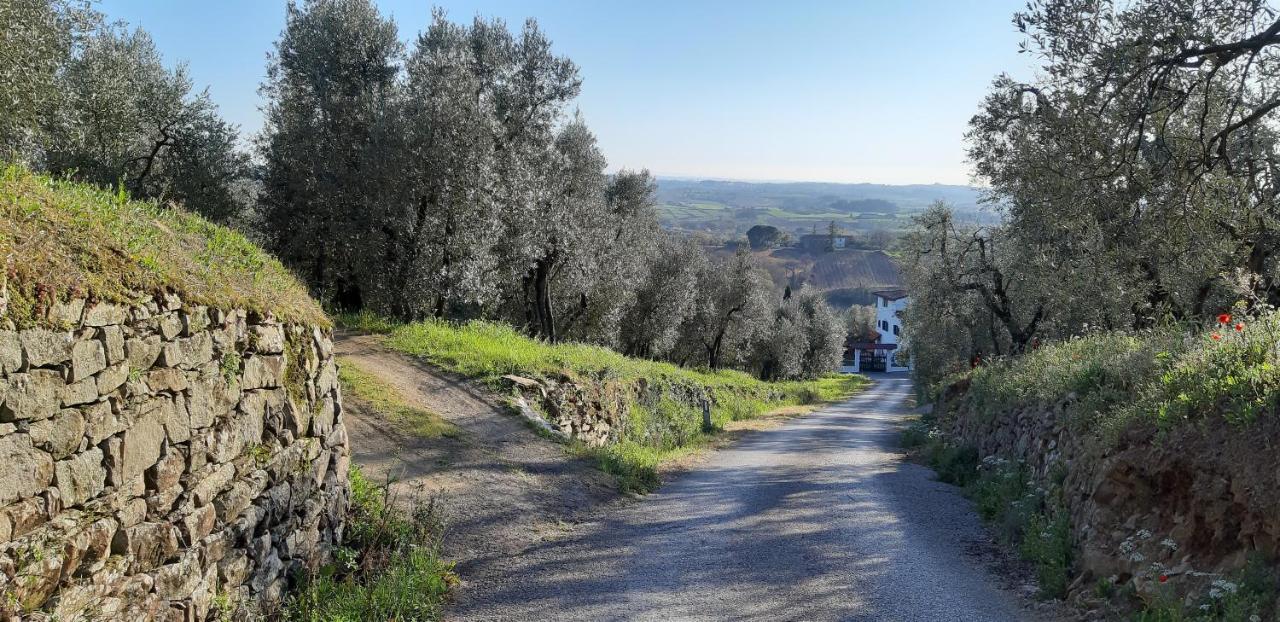 Il Fienile Di Tigliano Villa วินชี ภายนอก รูปภาพ